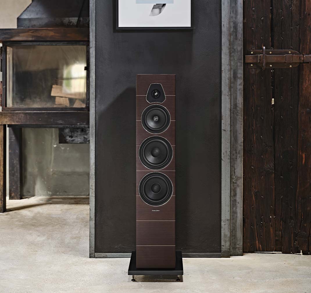 Напольная Акустика Sonus Faber LUMINA V