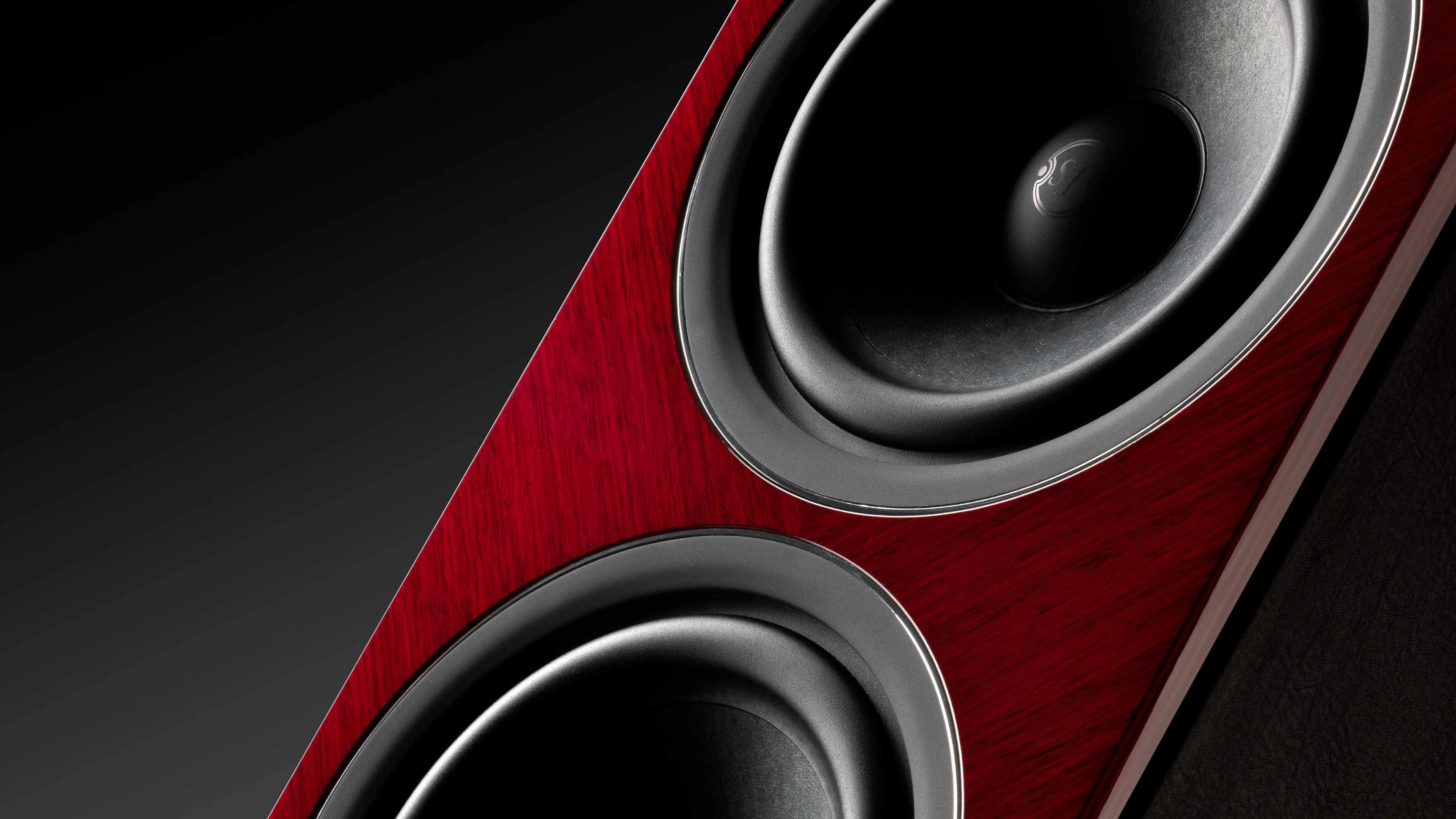 Напольная Акустика Sonus Faber LUMINA V AMATOR