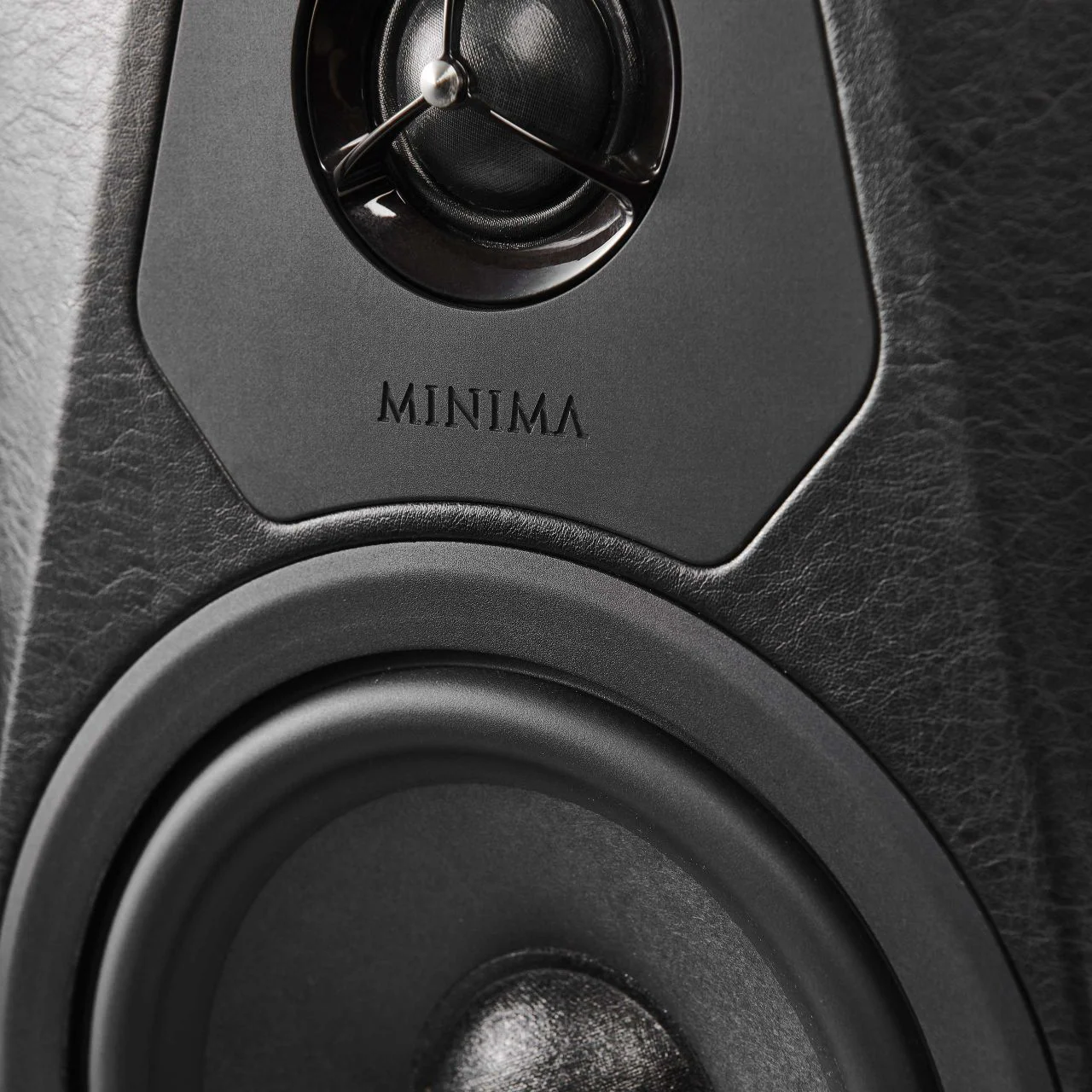 Полочная Акустика Sonus Faber MINIMA AMATOR II