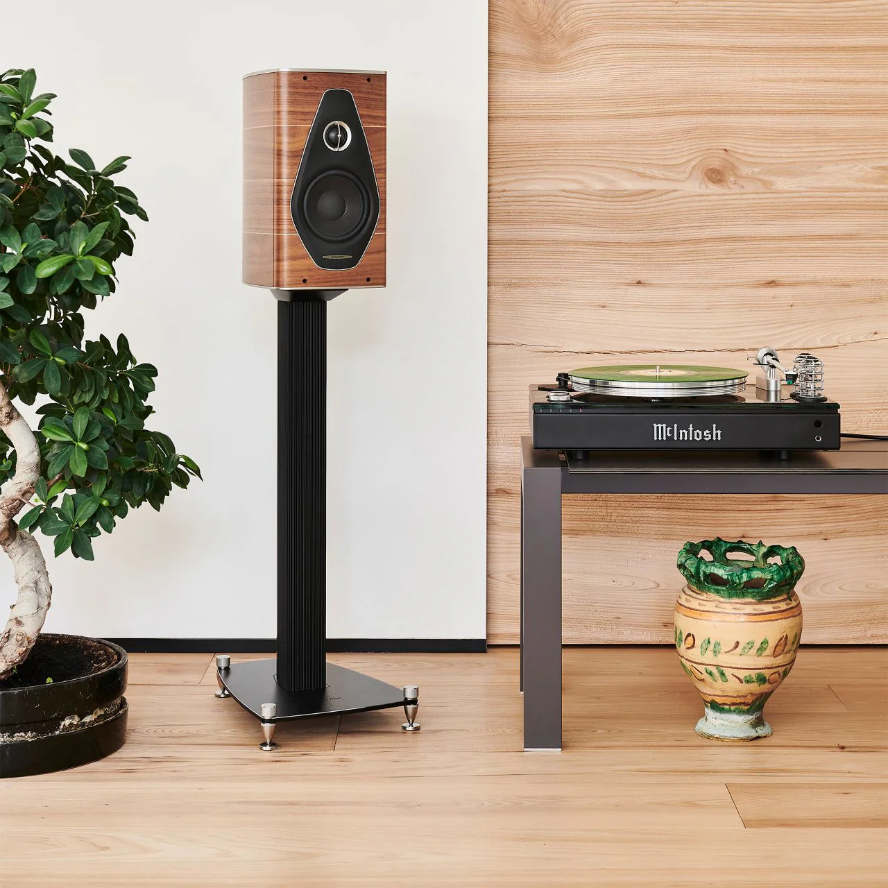 Полочная Акустика Sonus Faber OLYMPICA NOVA I