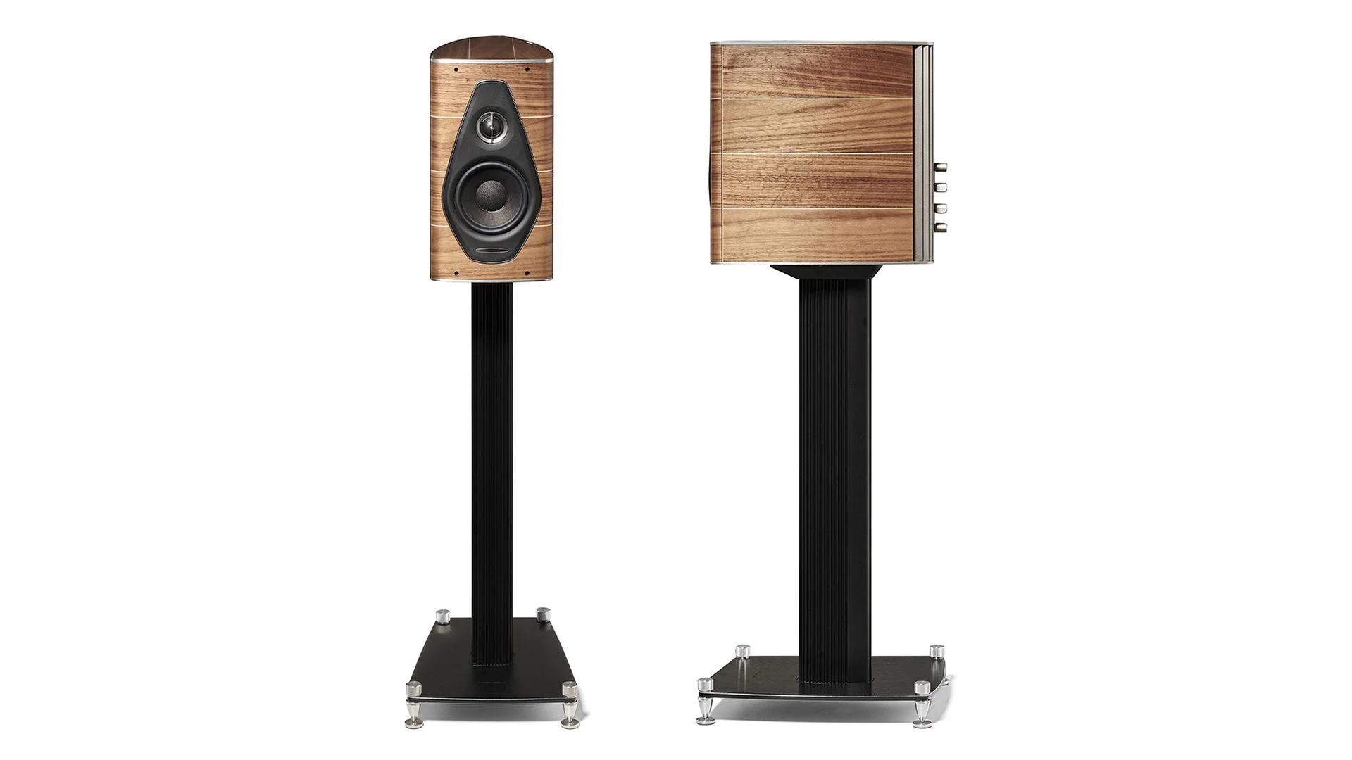 Полочная Акустика Sonus Faber OLYMPICA NOVA I