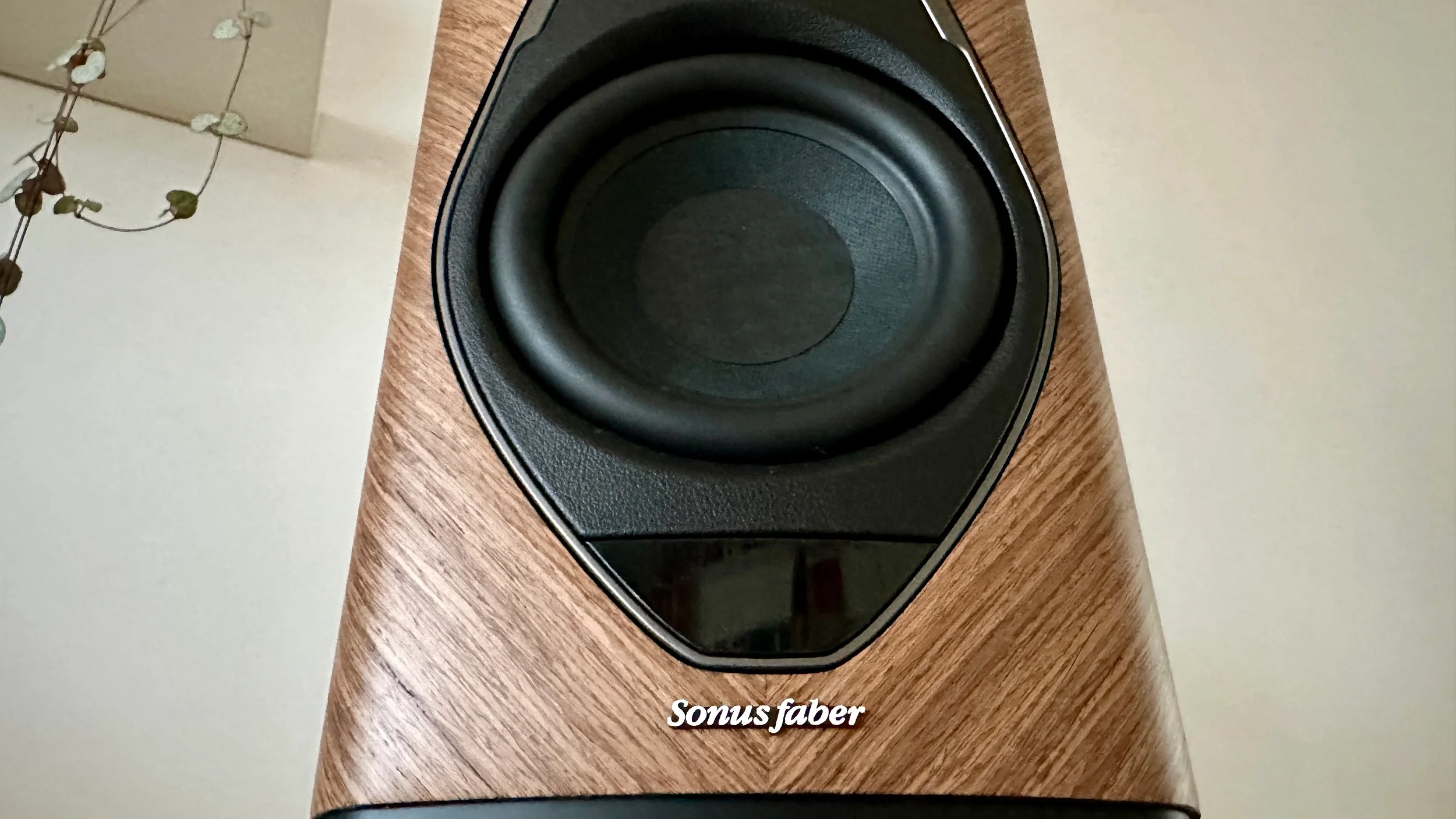 Активная Полочная Акустика Sonus Faber DUETTO